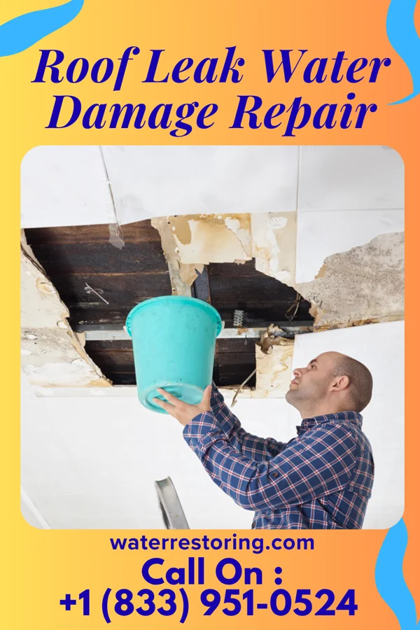 Roof Leak Water Damage Repair in Mount Ayr, IN