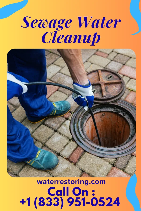 Sewage Water Cleanup in Mount Ayr, IN